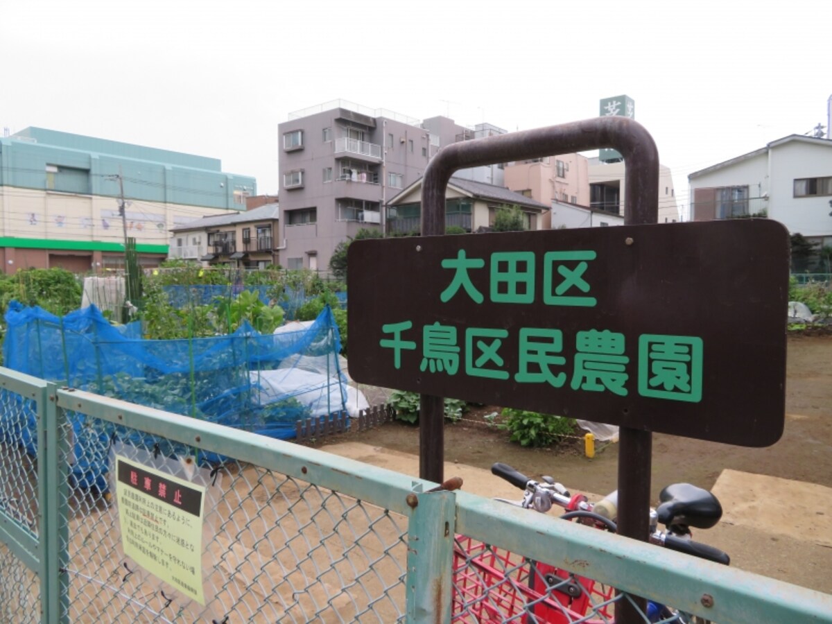 区民農園