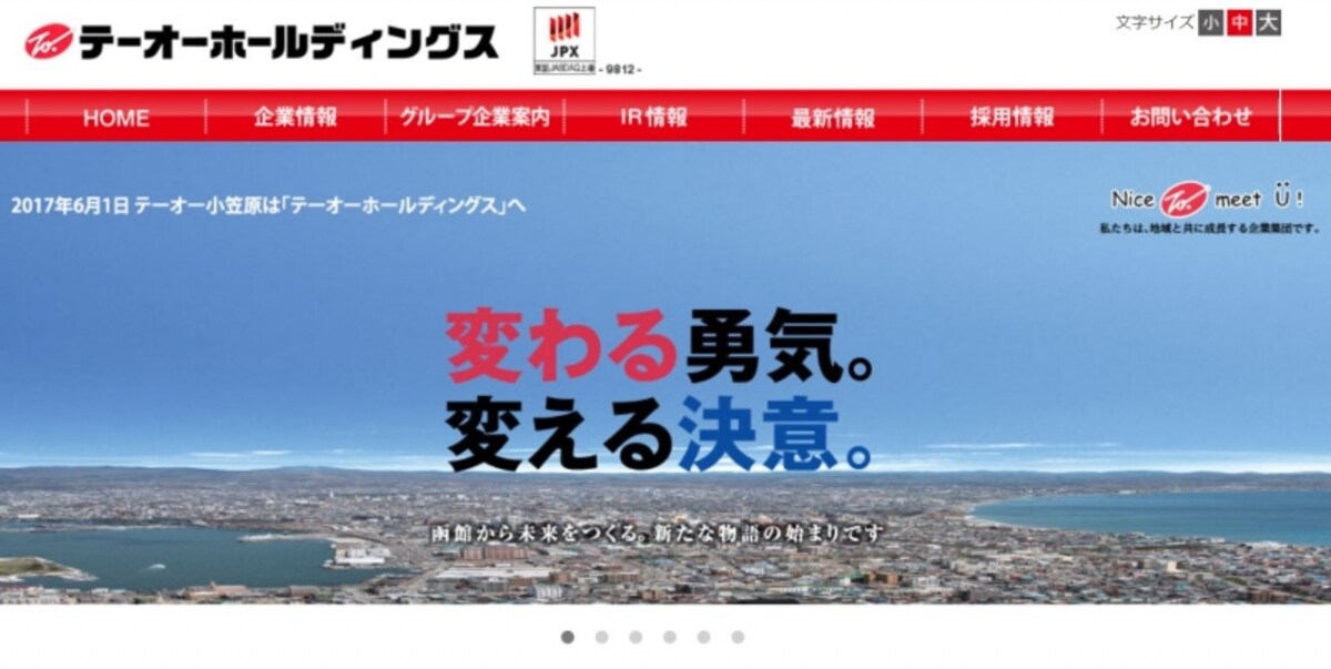 テーオーホールディングス