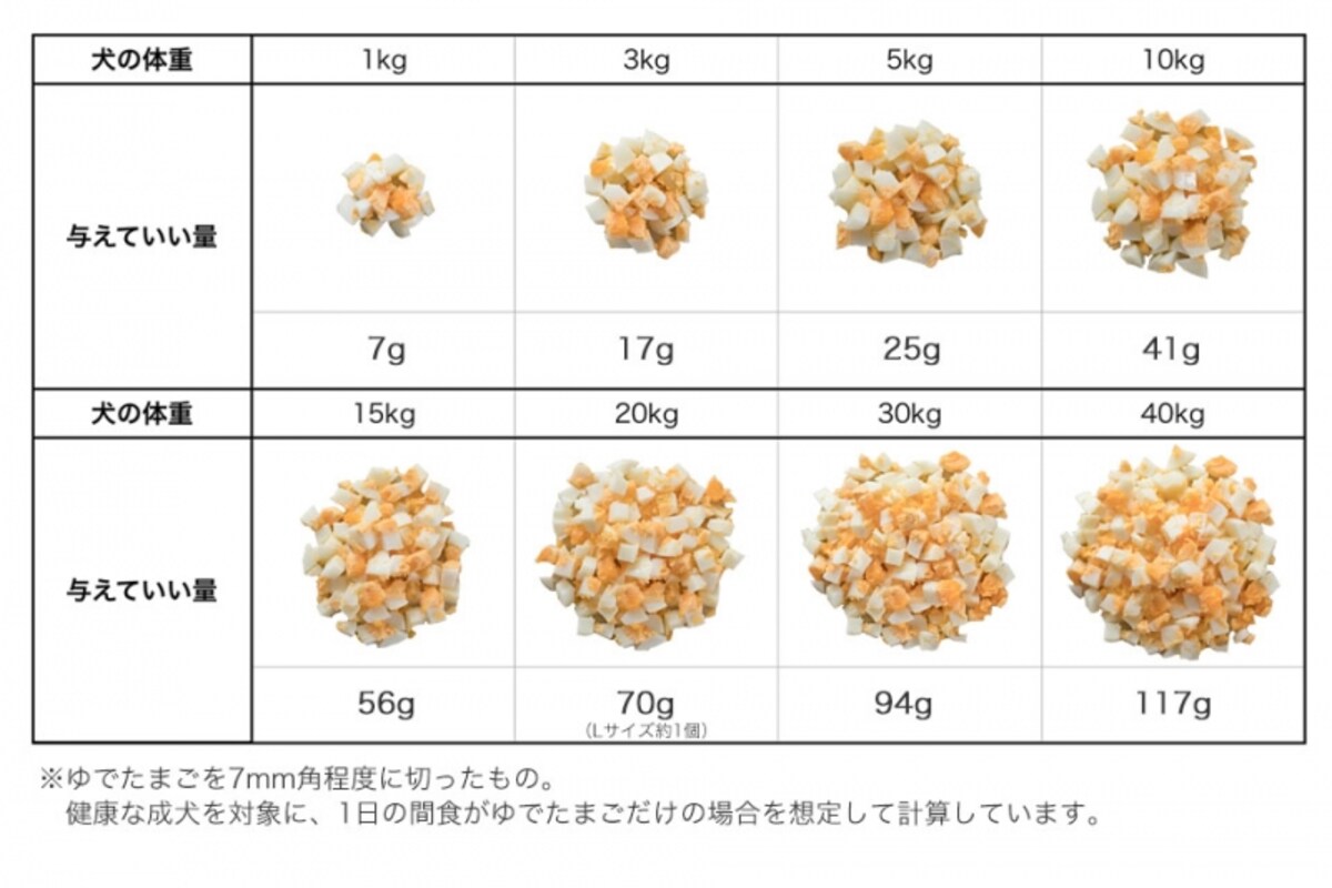 犬　卵　食べて良い　量　病気　薬　食べ合わせ