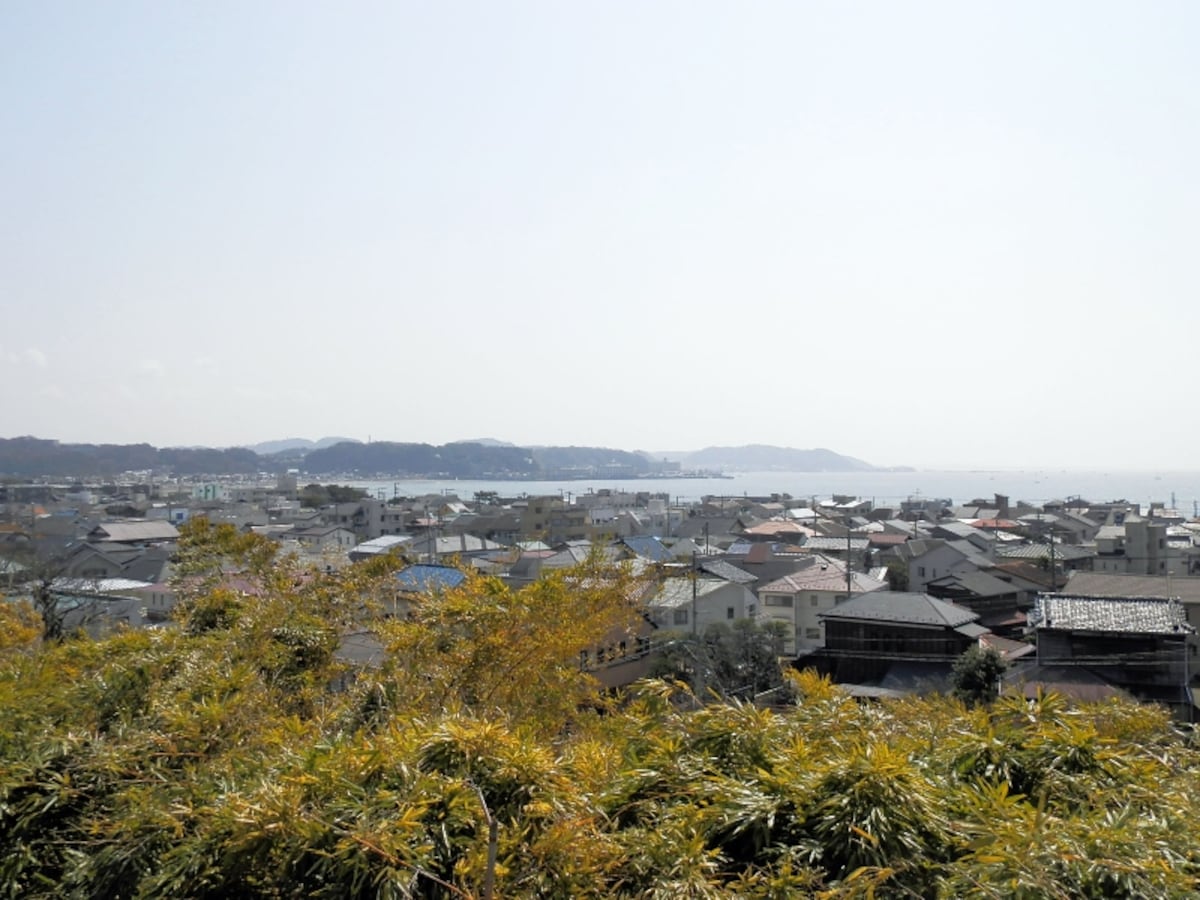 海光庵の窓からの眺め