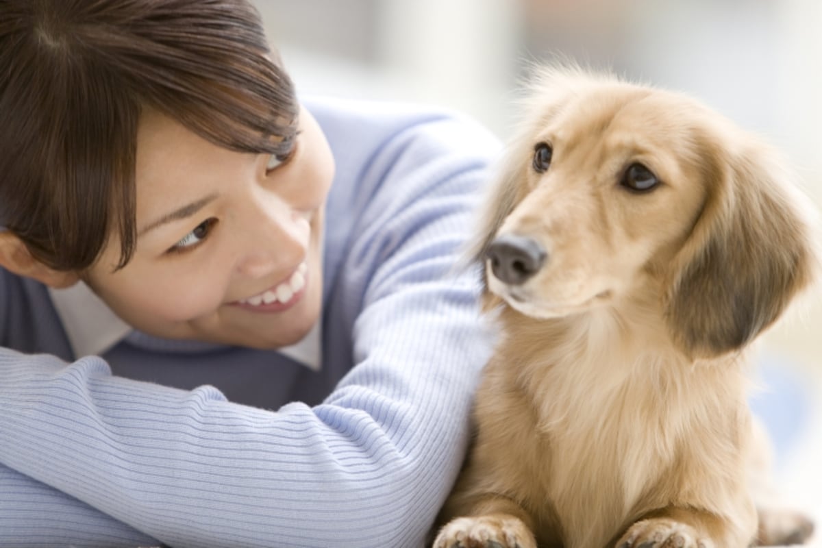 犬の「カーミングシグナル」とは？