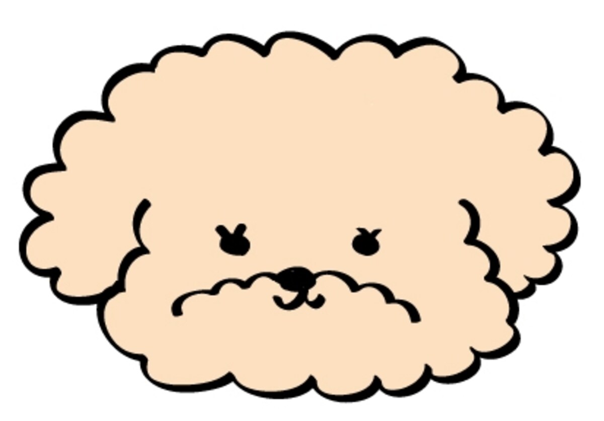 トイプードル　イラスト　年賀状　カラー　かわいい