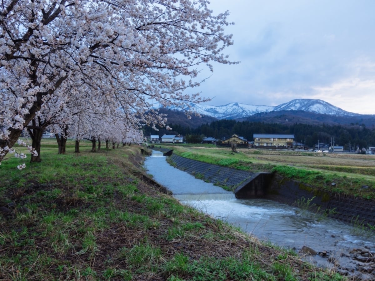 新潟県妙高市