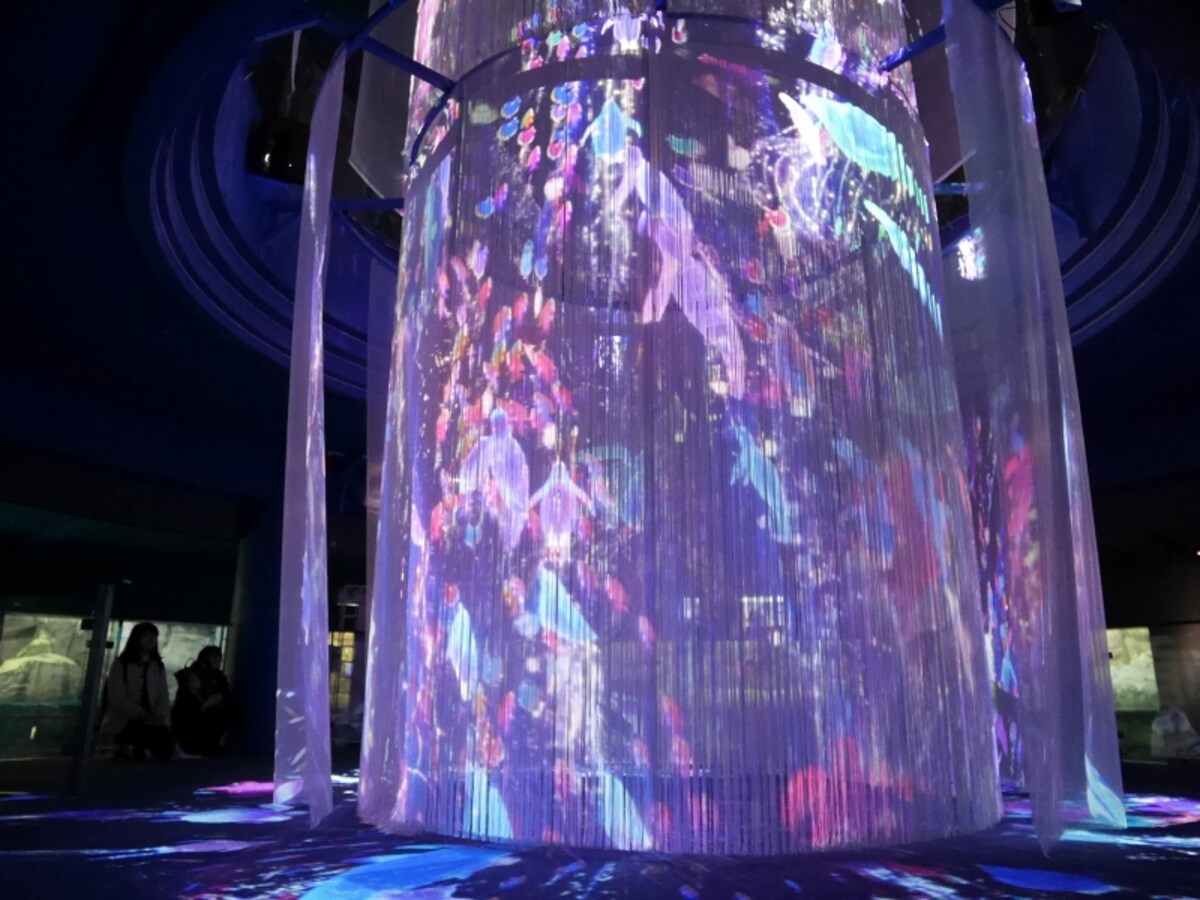 水族館「アクアミュージアム」館内では360°映し出されるプロジェクションマッピング「INOCHI -命の光があふれる海-」が12月1日からスタート。15分ごとに実施（約4分間）（2017年11月30日撮影）