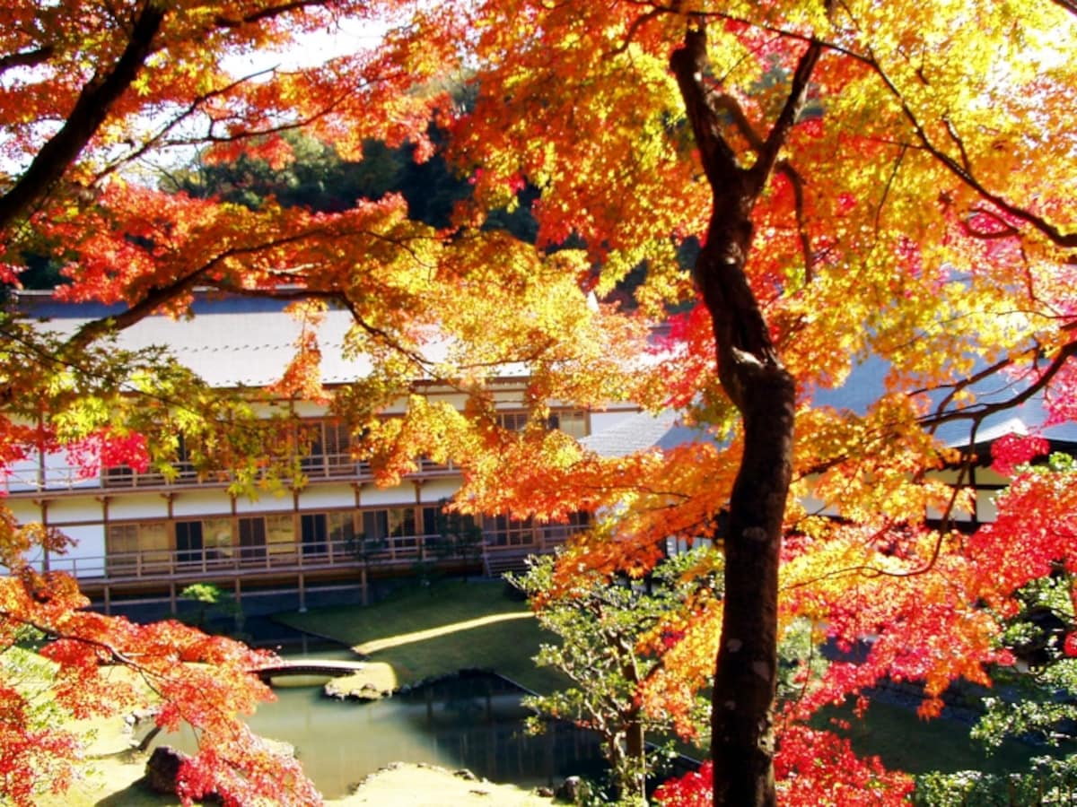 建長寺の紅葉
