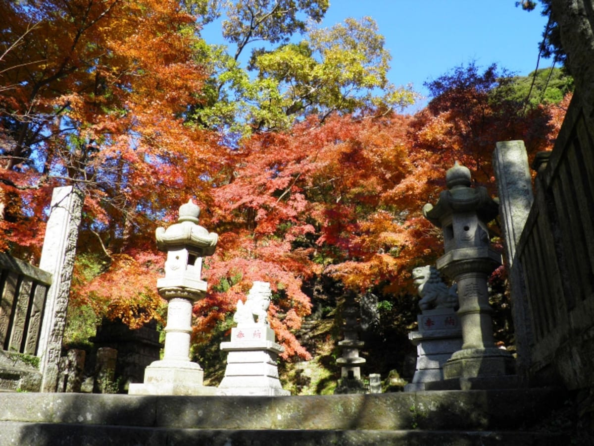 紅葉が美しく彩る半僧坊への石段