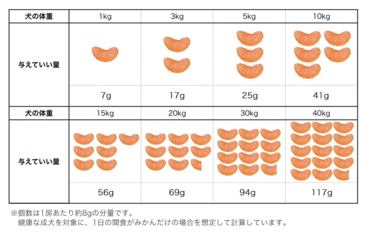 犬　みかん　食べて良い　量　病気　薬　食べ合わせ