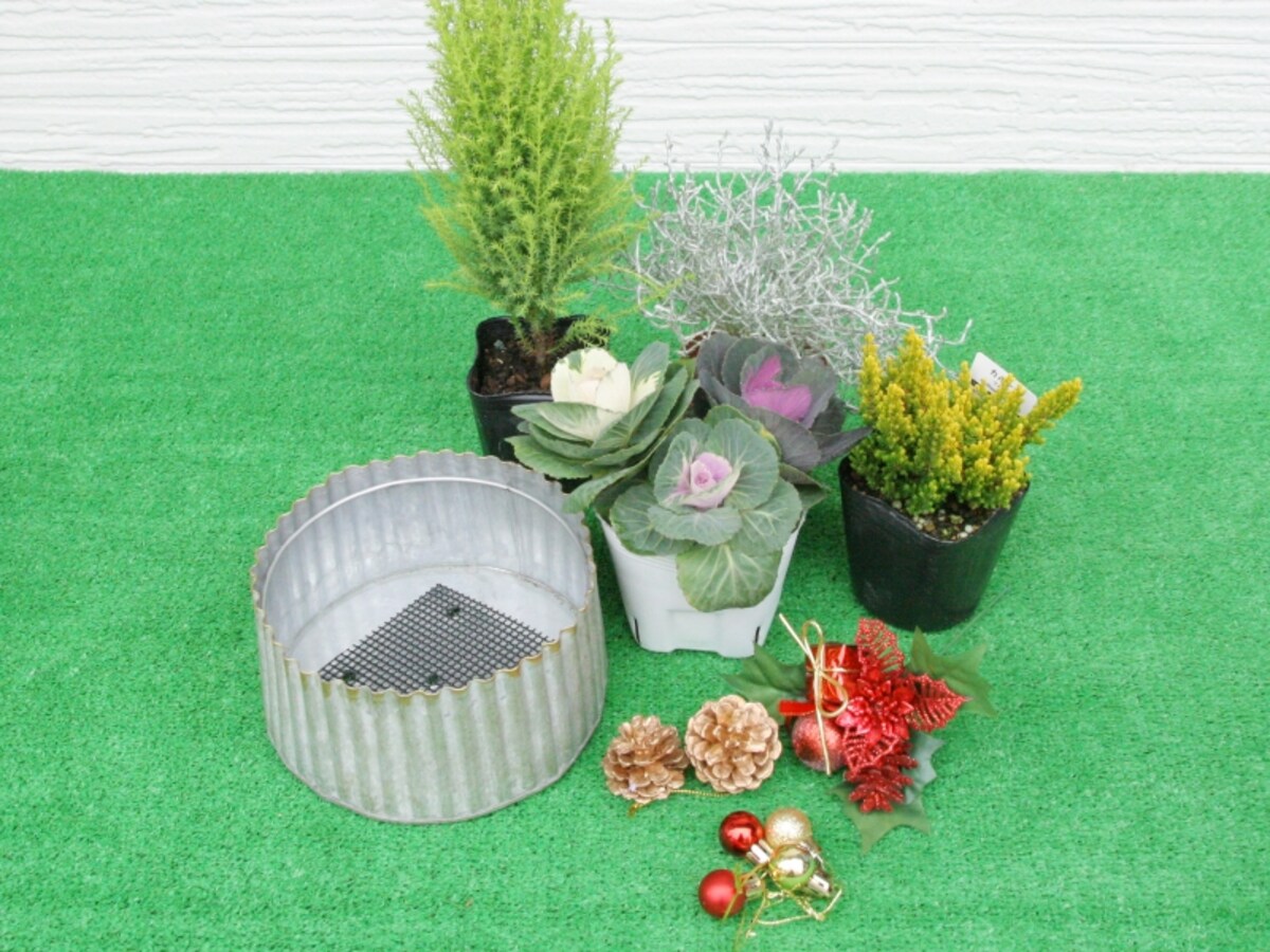 寄せ植えでクリスマス