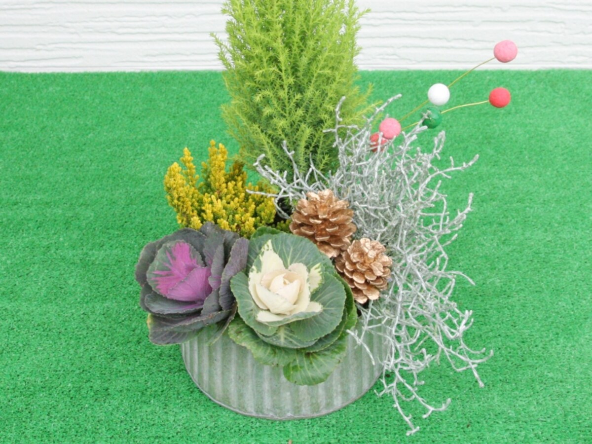 寄せ植えでクリスマス