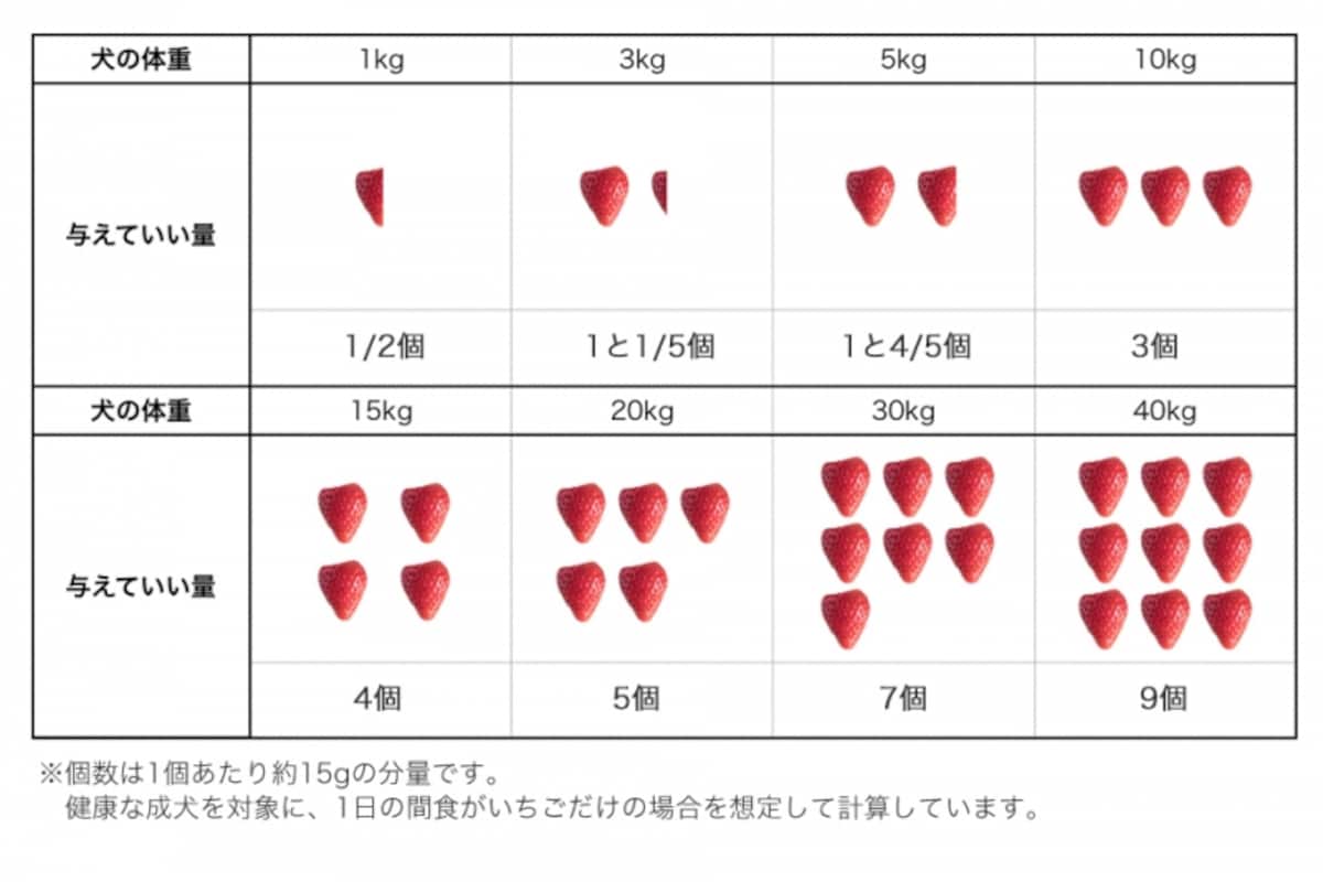 犬　いちご　食べて良い　量　病気　薬　食べ合わせ