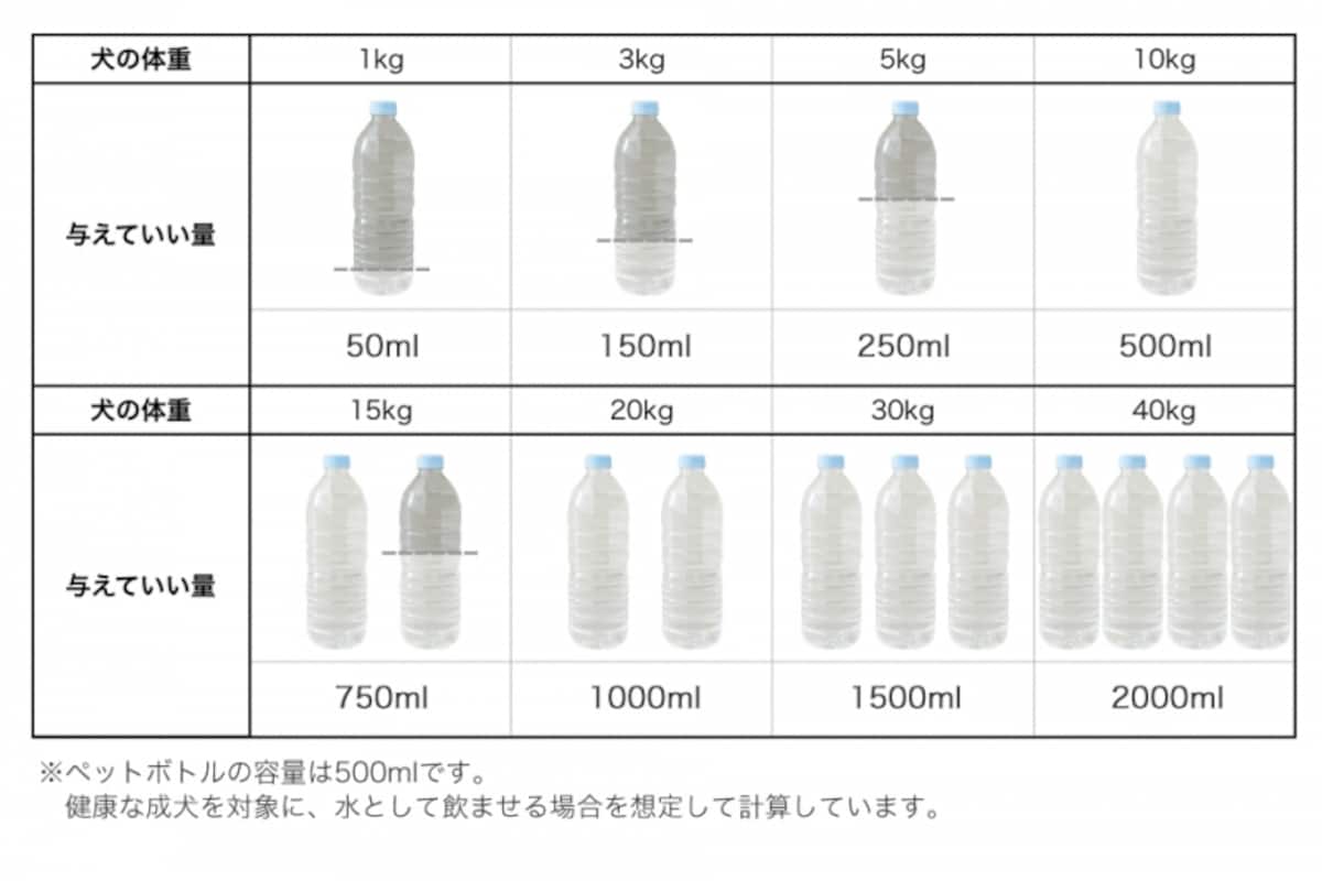 犬　水　飲んでいい　量　病気　薬