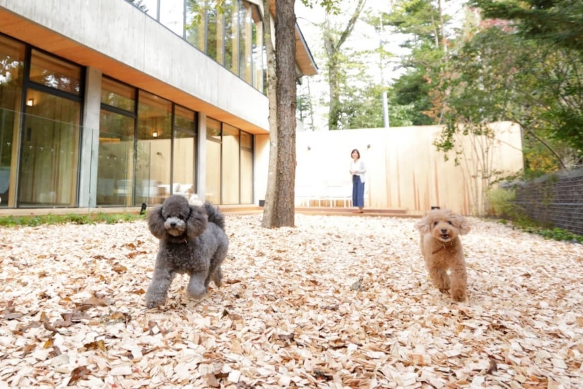 ドッグランでは犬同士・飼い主同士で交流を深めたい