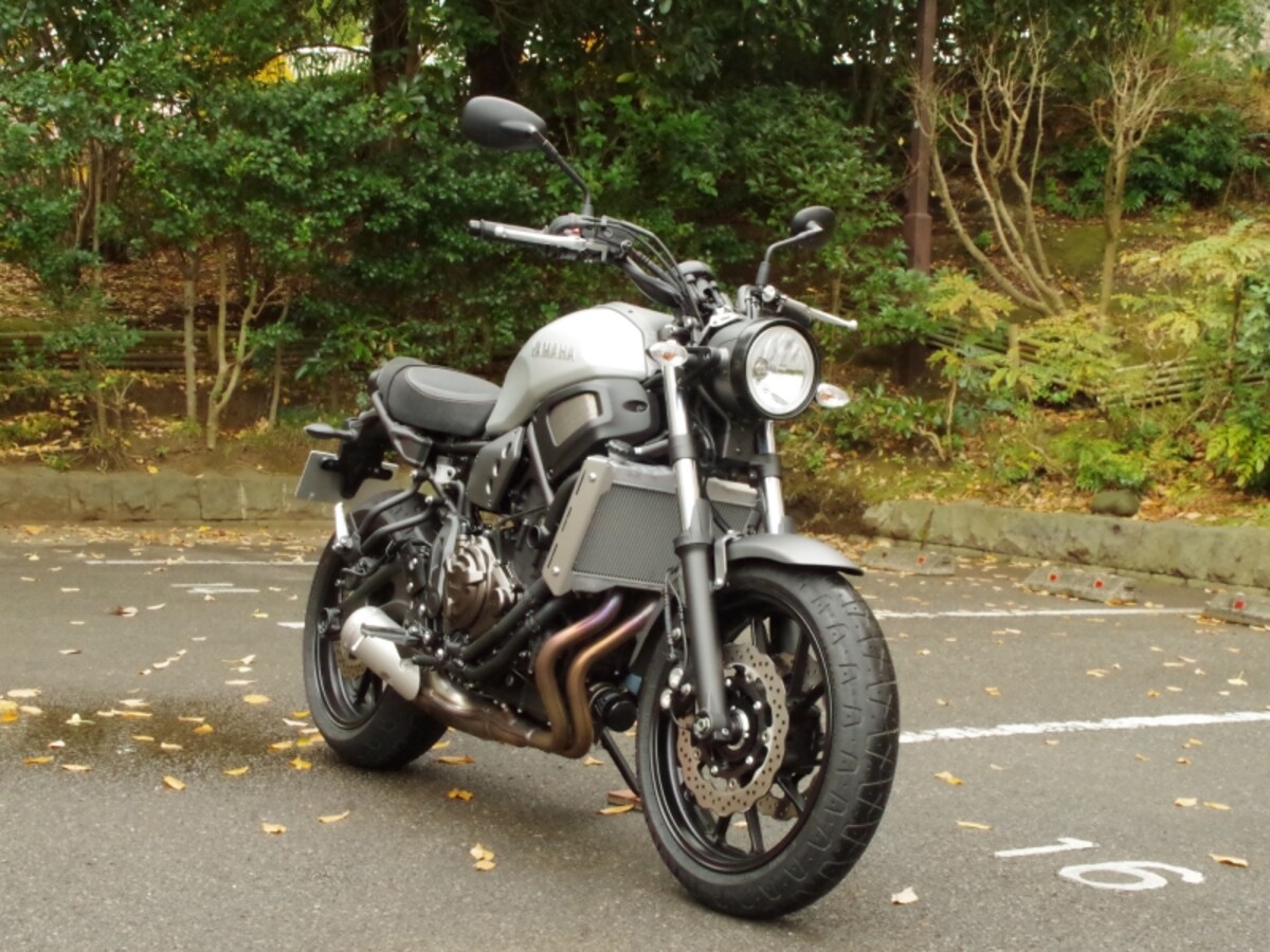xsr700 フロントビュー