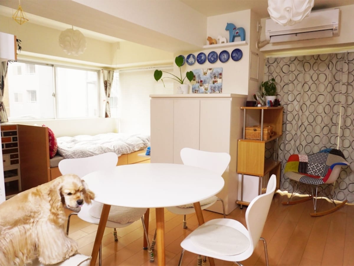 愛犬ジャスミンとの一人＋一匹の暮らしを楽しむ女性の部屋を紹介します