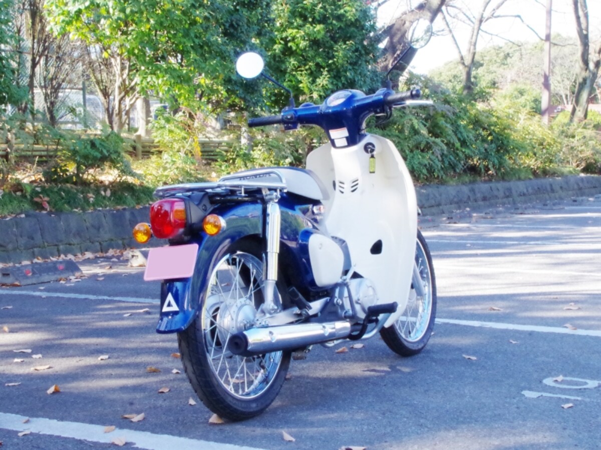 スーパーカブ110　リアビュー