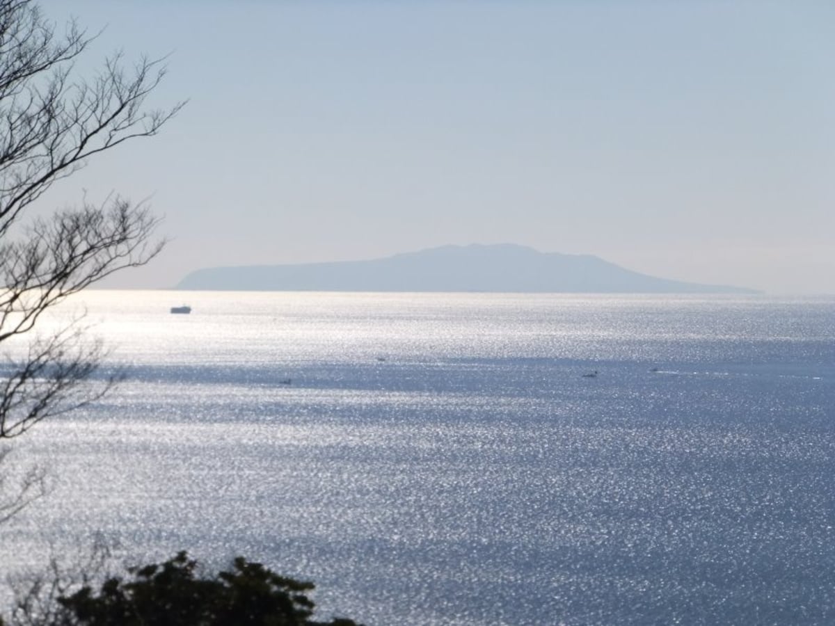 吾妻山公園(3)/伊豆大島を望む