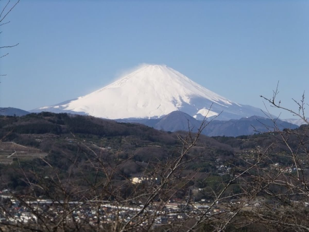吾妻山公園(4)/富士山を望遠で望む