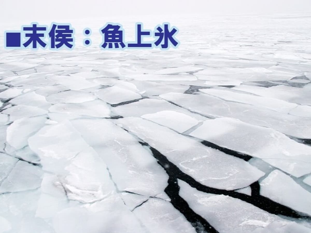 割れて水面に浮いている氷を「浮氷（うきごおり）」などといいます