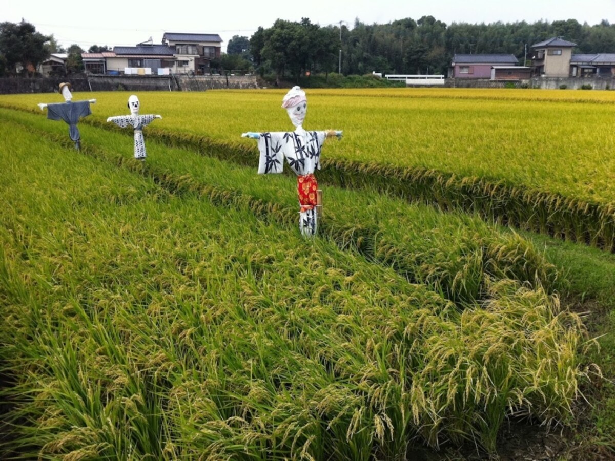 無償の町有地に家を建てよう