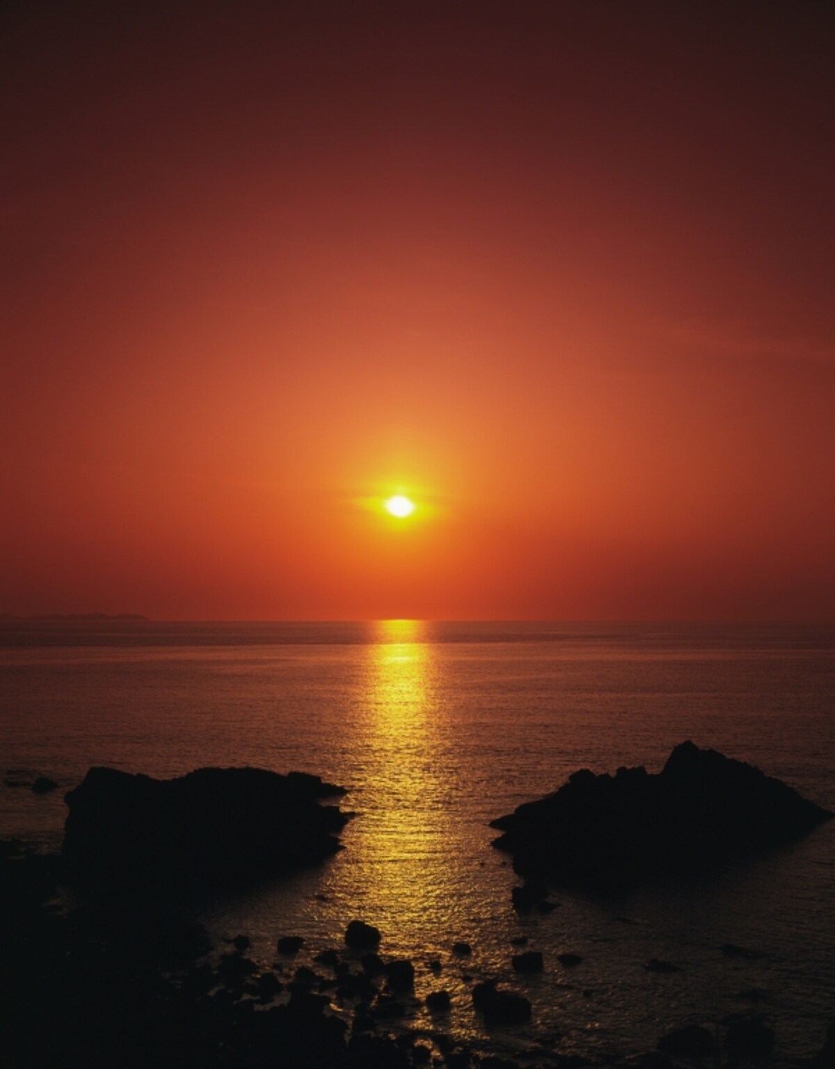 海が近いのも魅力