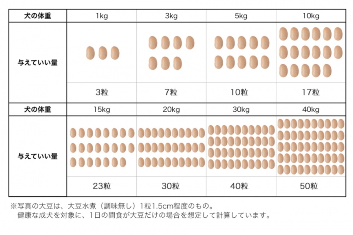 犬　大豆　食べて良い　量　病気　薬　食べ合わせ