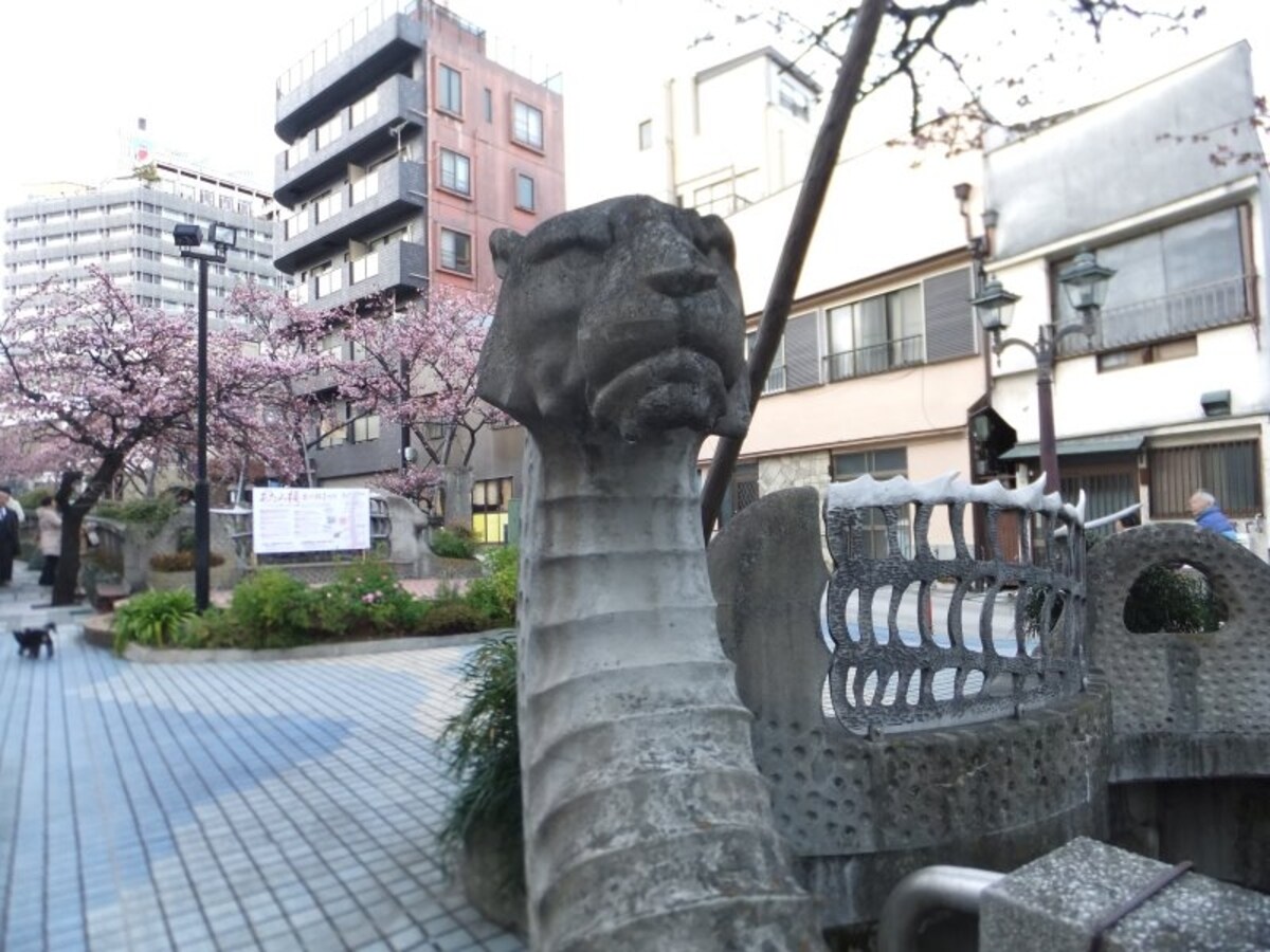 あたみ桜(4)