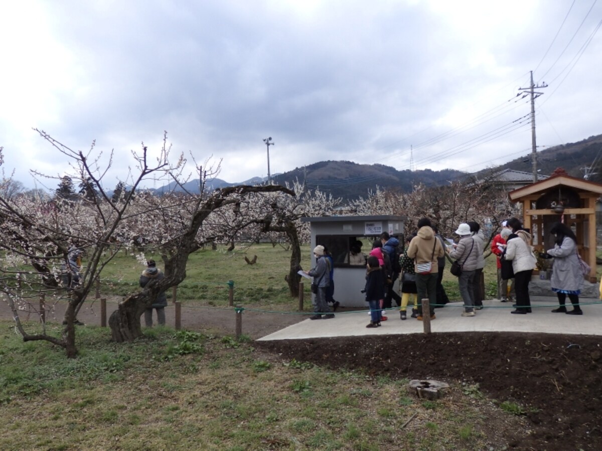 越生梅林の入口