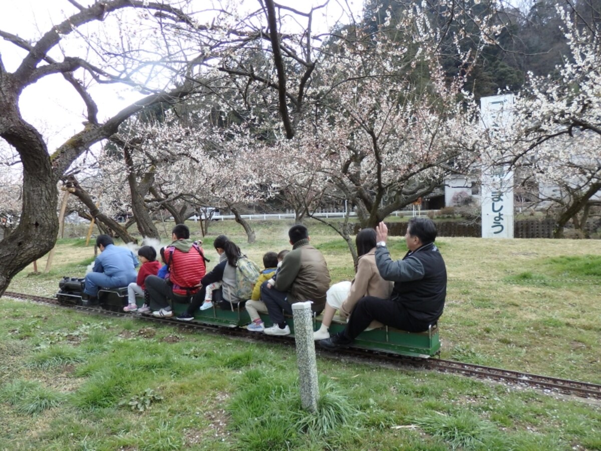 園内を一周するミニSL