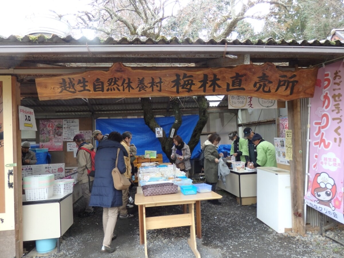 梅林直販所