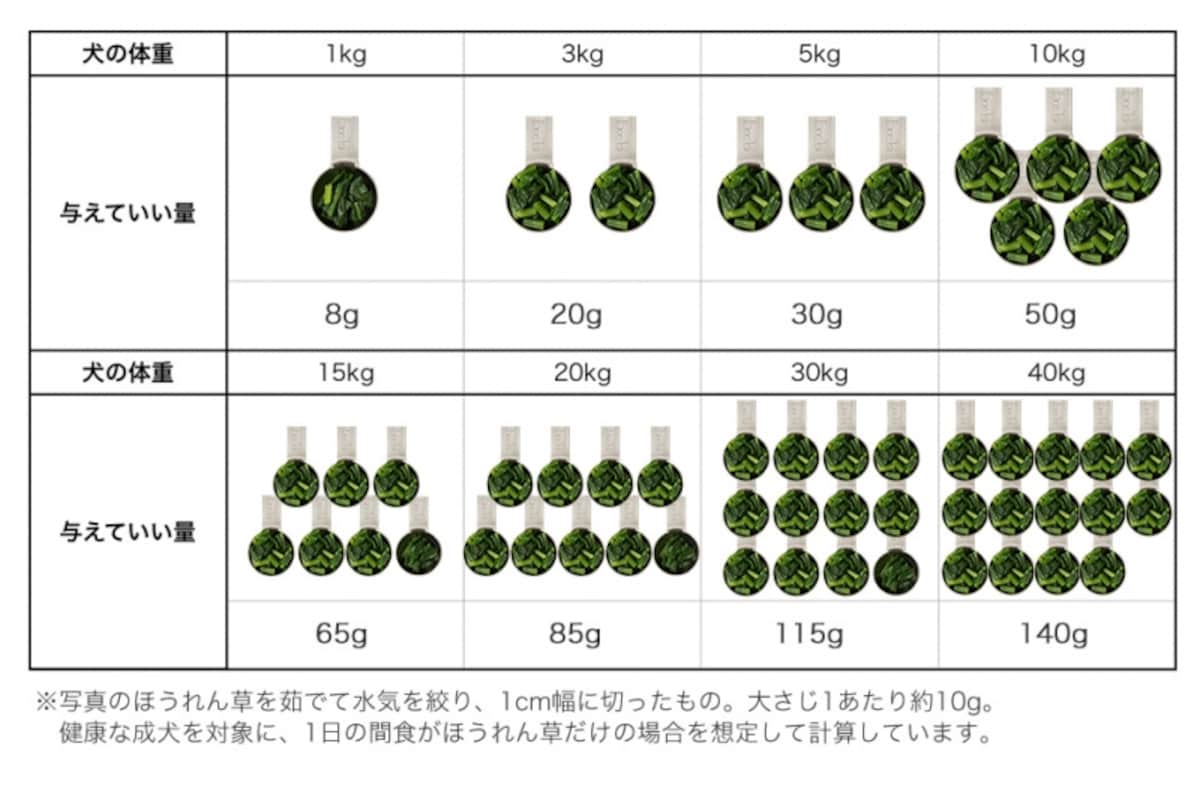 犬　ほうれん草　食べて良い　量　病気　薬　食べ合わせ