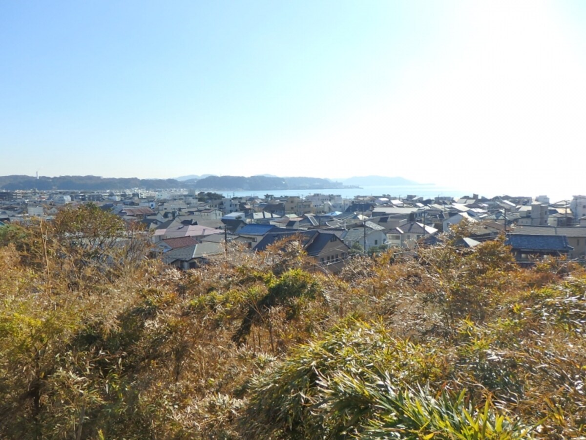長谷寺の見晴台から望む海