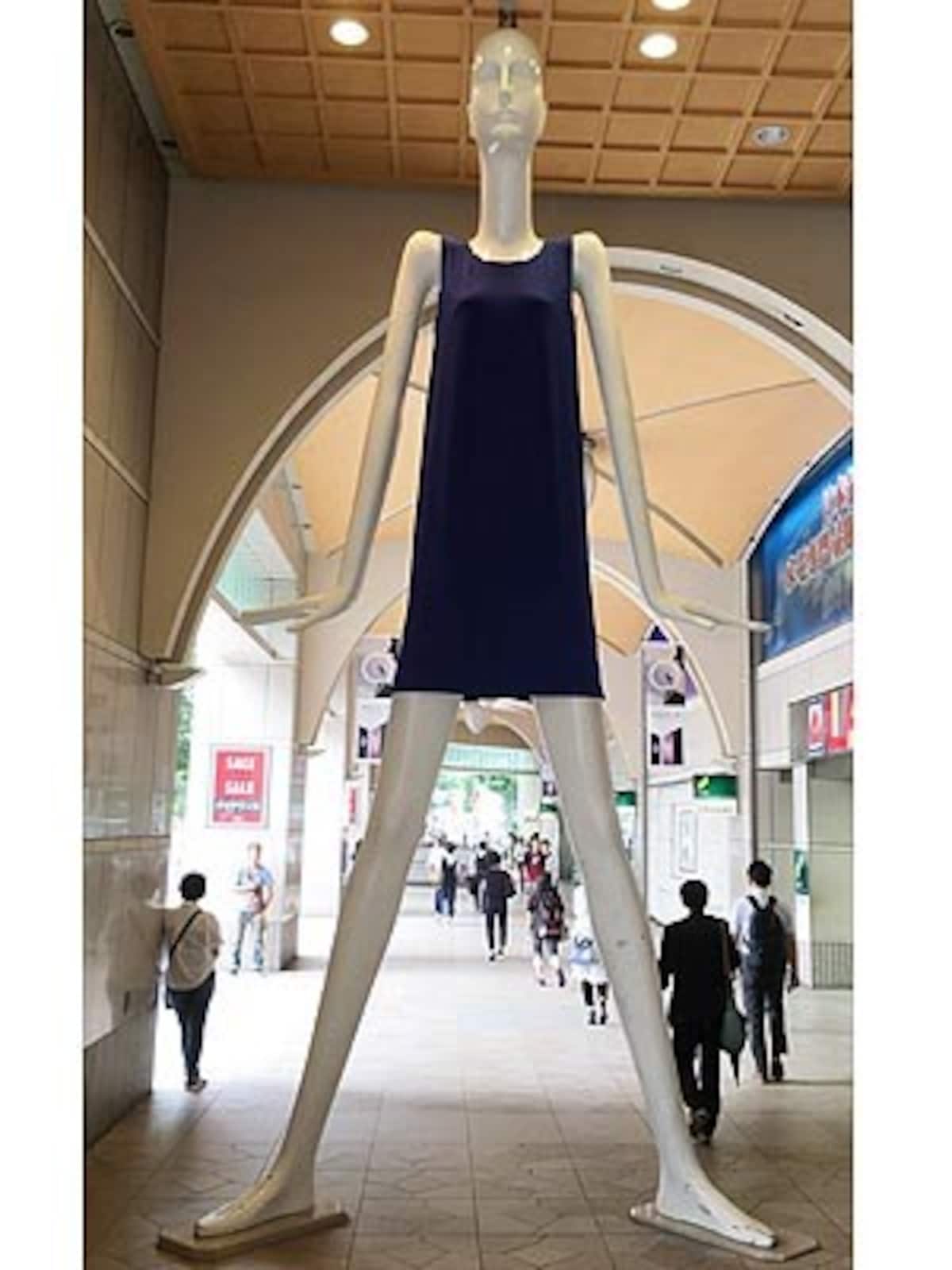 7月19日撮影