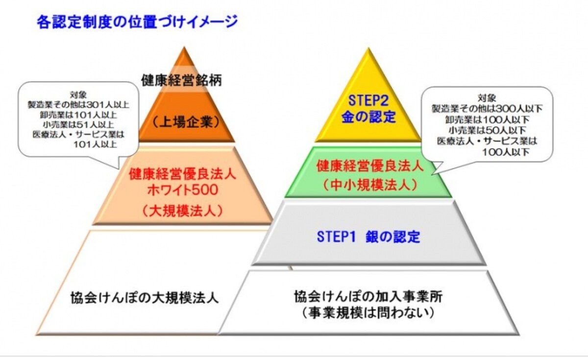 健康経営優良法人認定制度には「大規模法人部門」と「中小規模法人部門」がある（経産省サイトより）