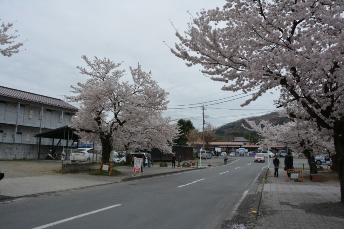 長瀞駅の北に繋がる北桜通り