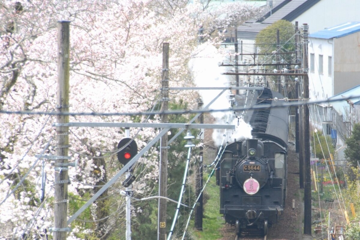 駿遠橋から