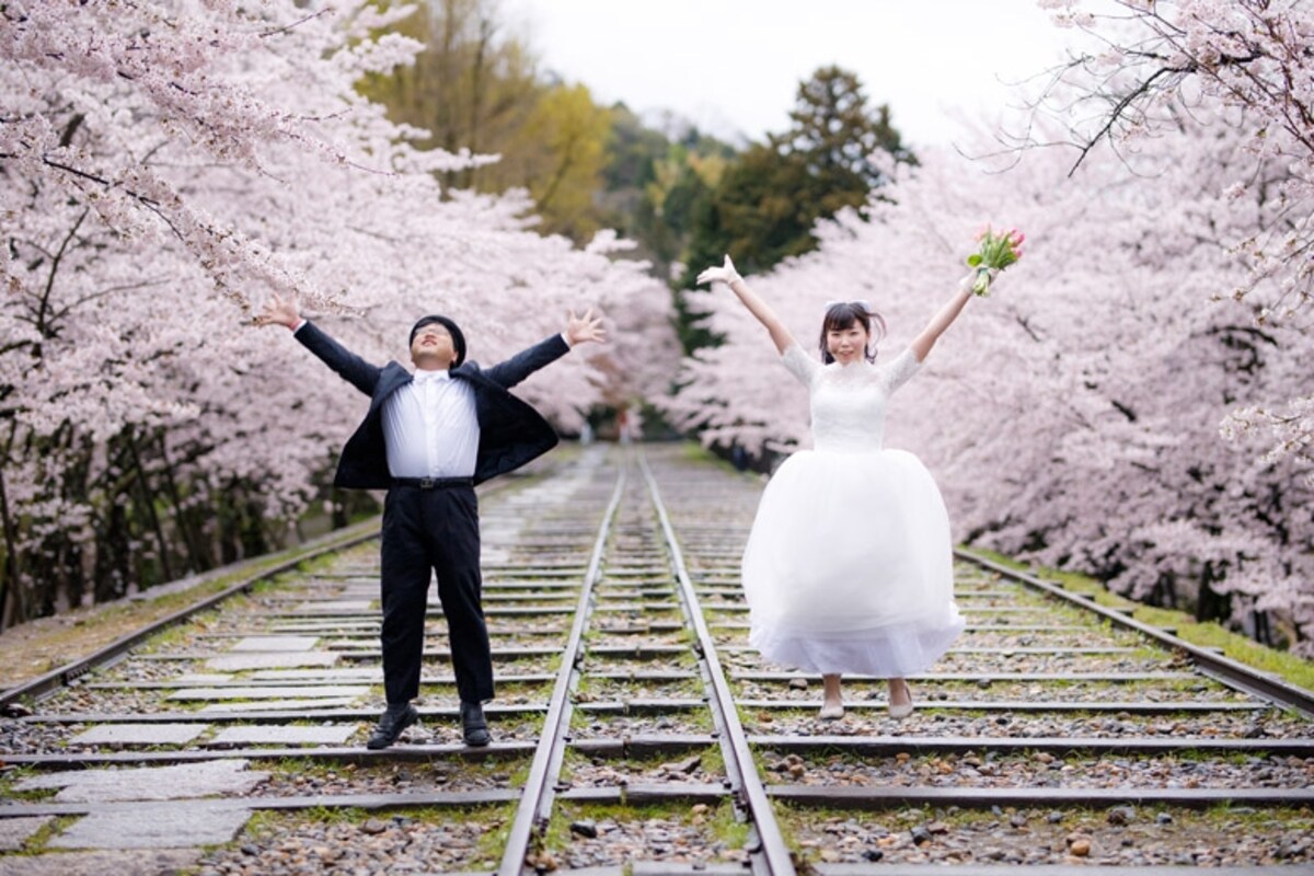 ロケーション撮影　インクライン　桜
