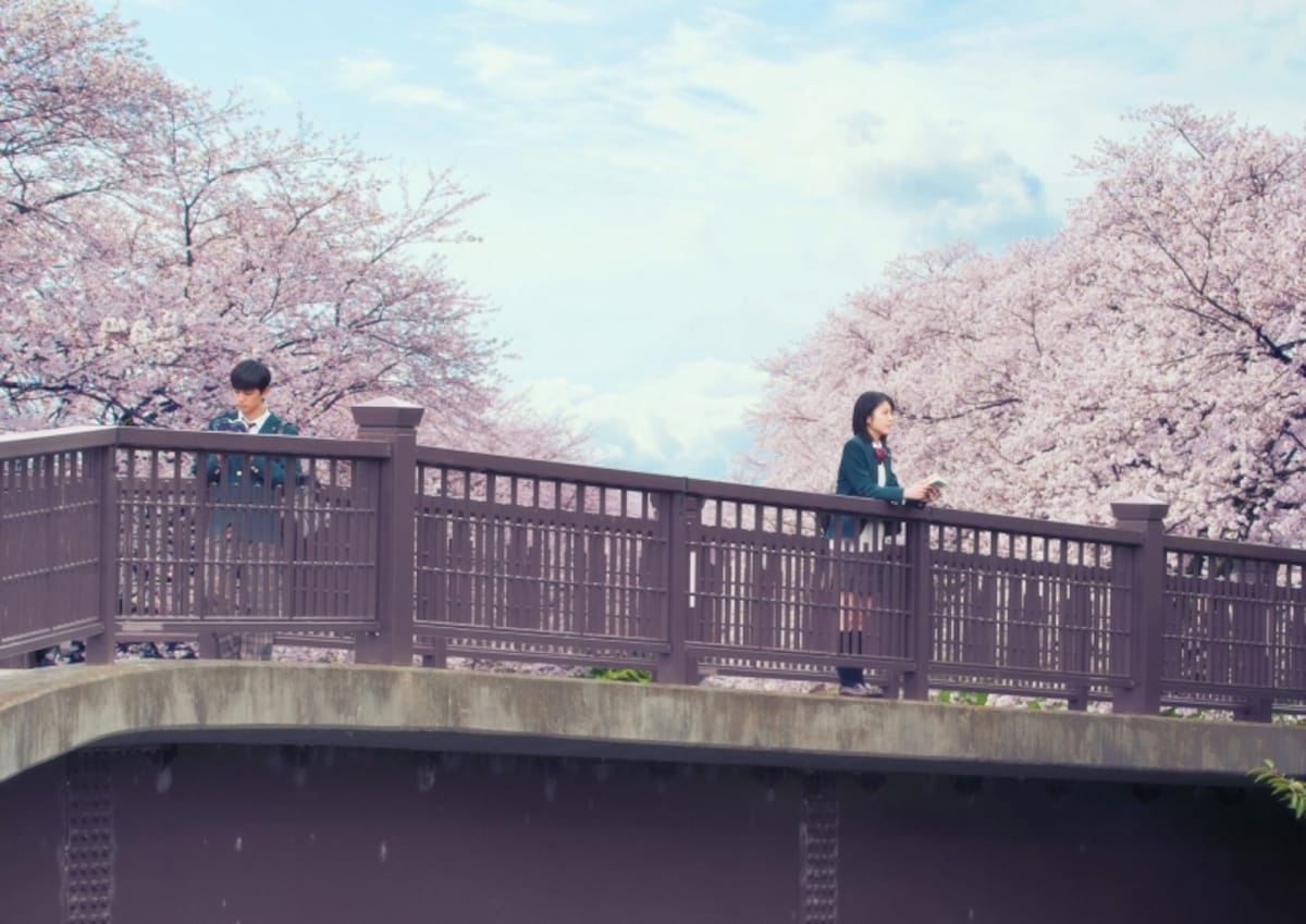 (C)2017「君の膵臓をたべたい」製作委員会 (C)住野よる/双葉社