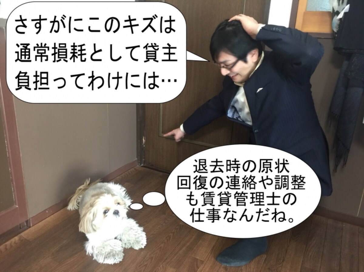 賃貸不動産経営管理士試験の仕事内容と活かせる業界とは