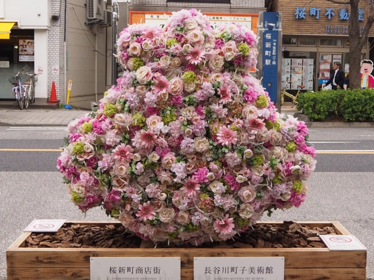 桜が咲くまではこちらのお花を観賞