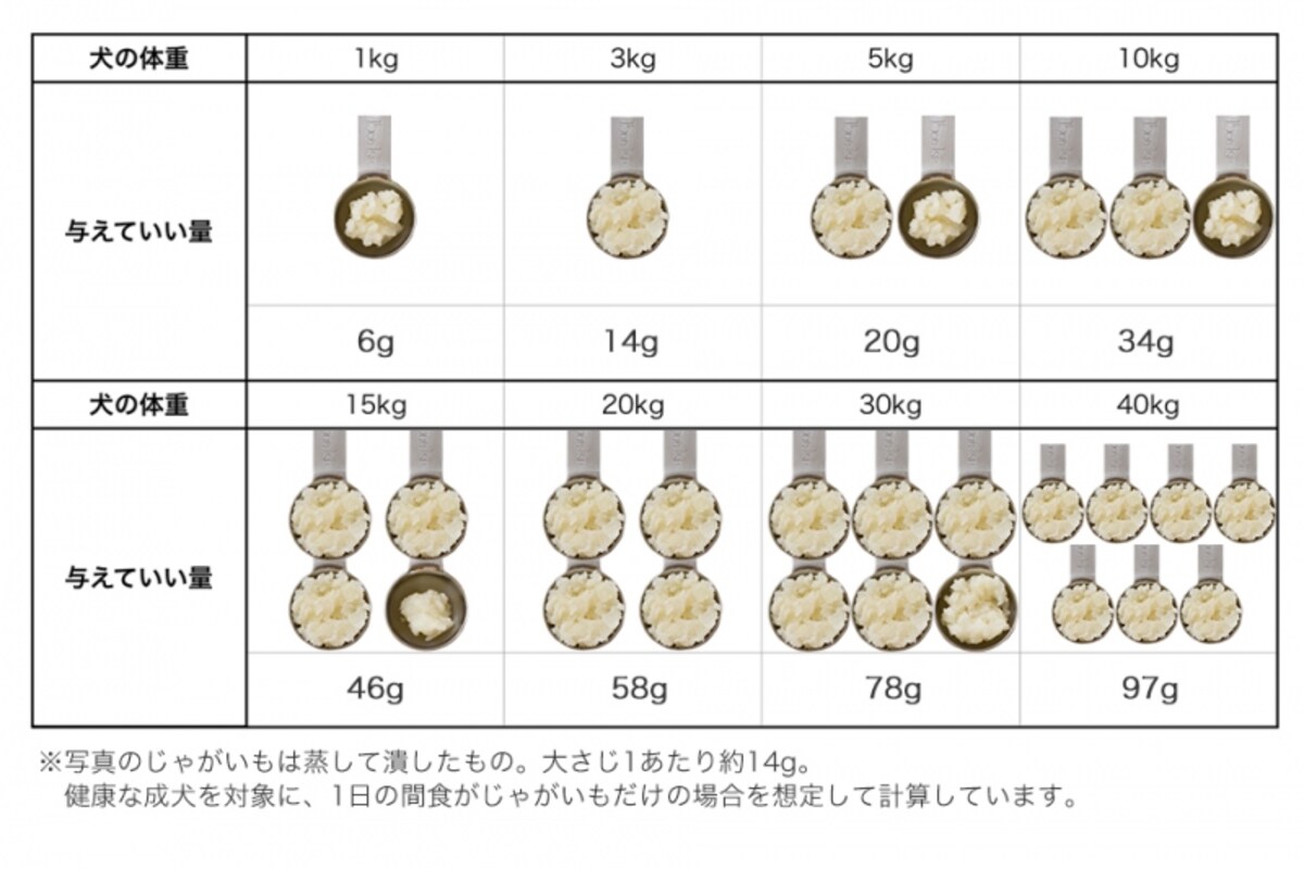 犬　じゃがいも　食べて良い　量　病気　薬　食べ合わせ