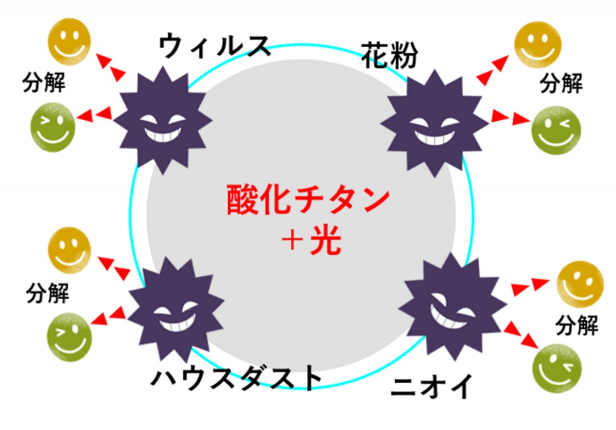 光触媒を用いたカーテンや布団を利用したり、観葉植物を置いておくことも花粉対策の効果が期待できそうです