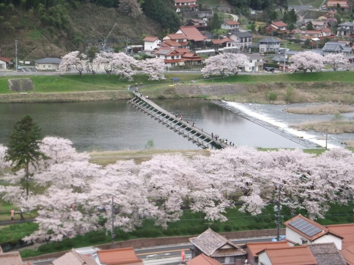 斐伊川堤防桜並木（9）／木次公園より