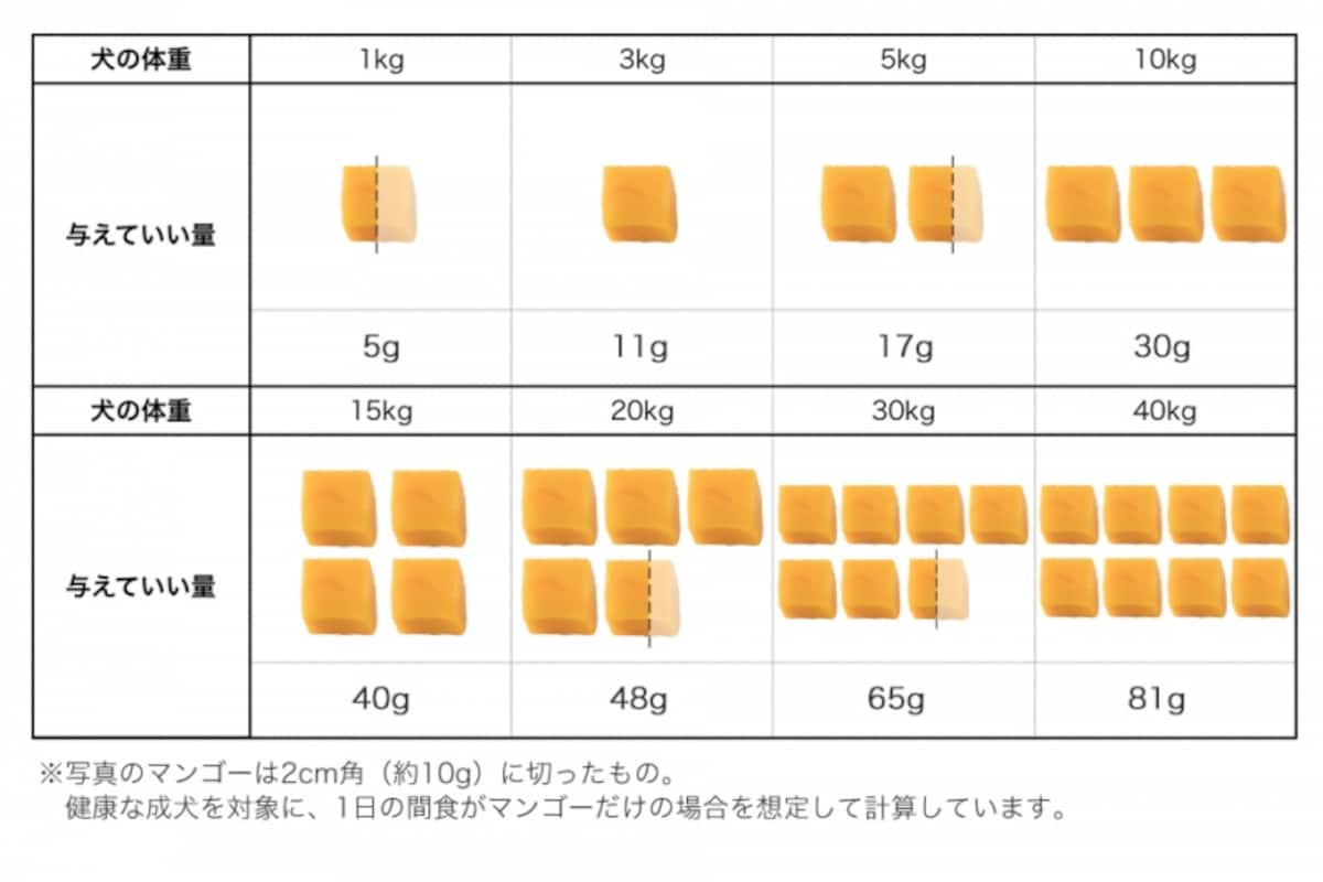 犬　マンゴー　食べて良い　量　病気　薬　食べ合わせ