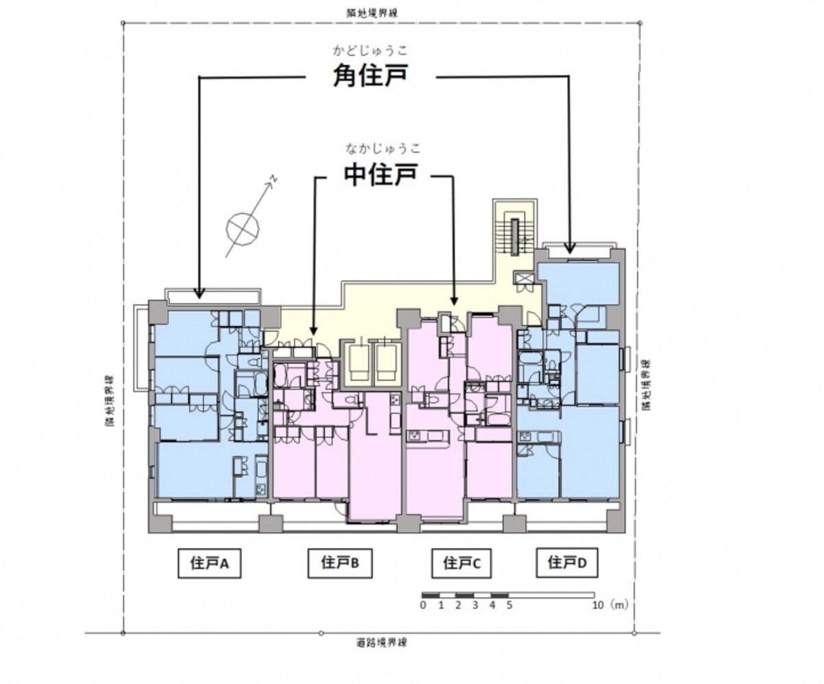 [図1】住棟の両端にある住戸が「角部屋」で、その他の住戸が「中部屋」。