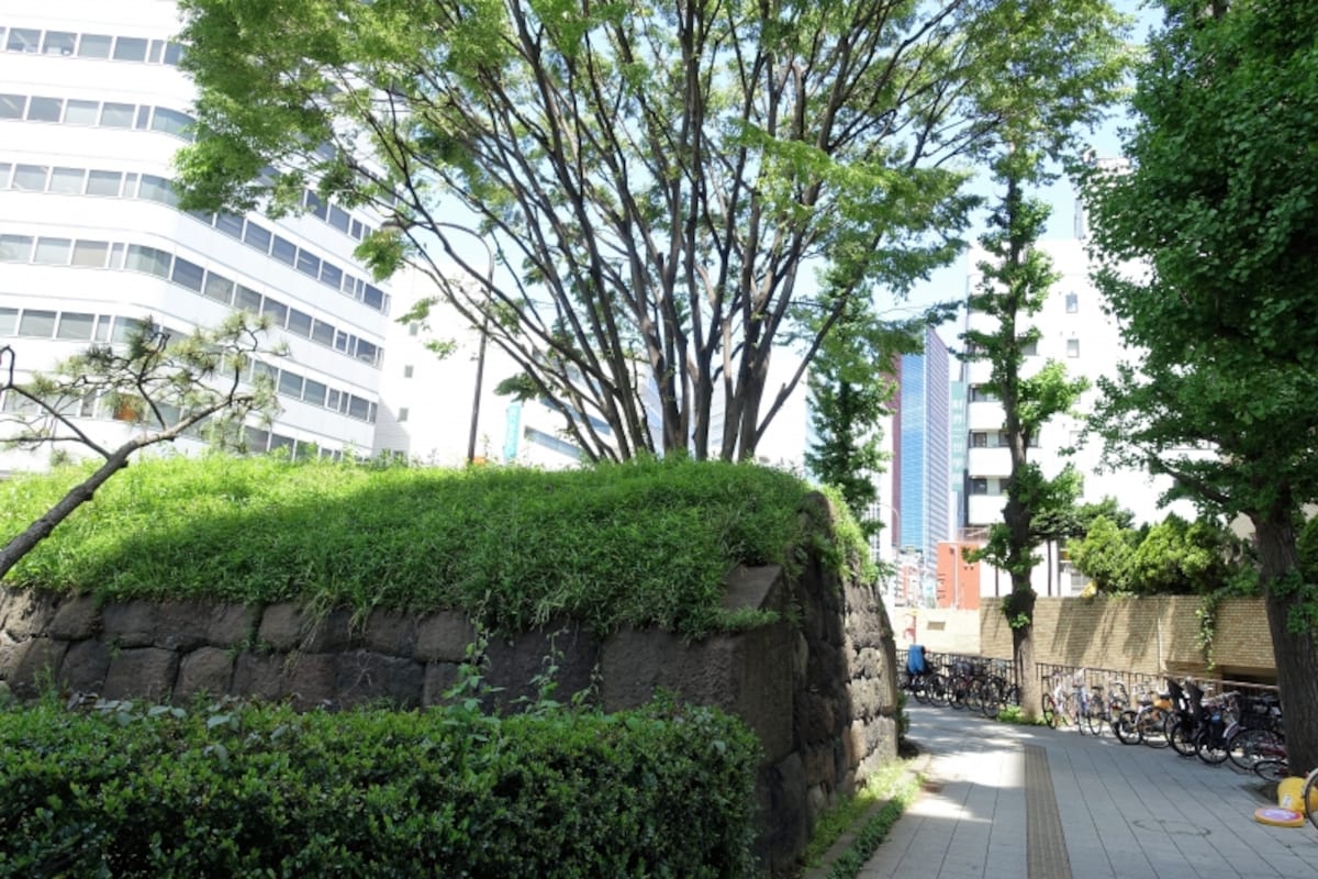かつて西郷どんも見ただろう石垣