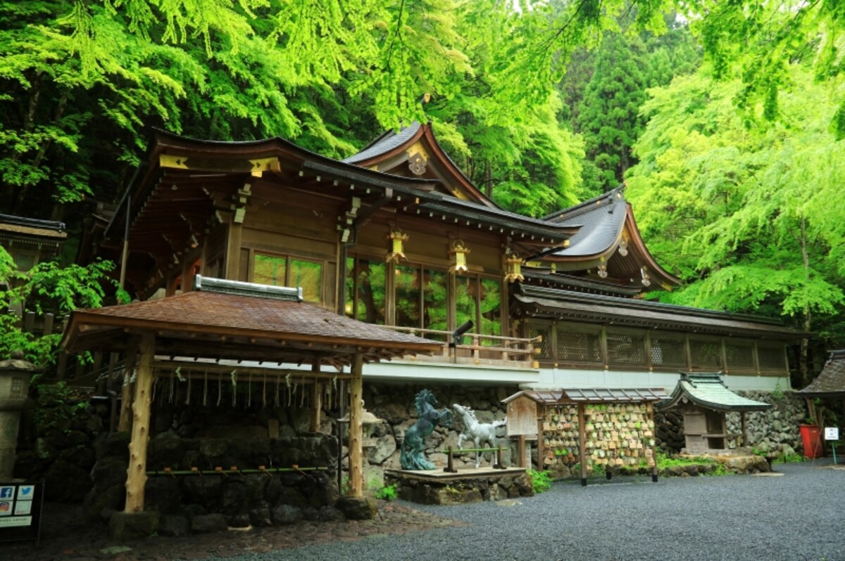 本宮