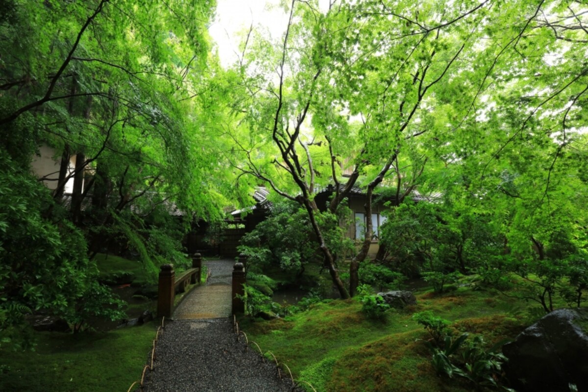 石橋