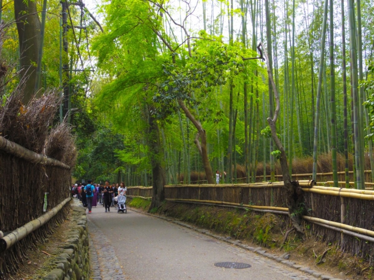 竹林の小径