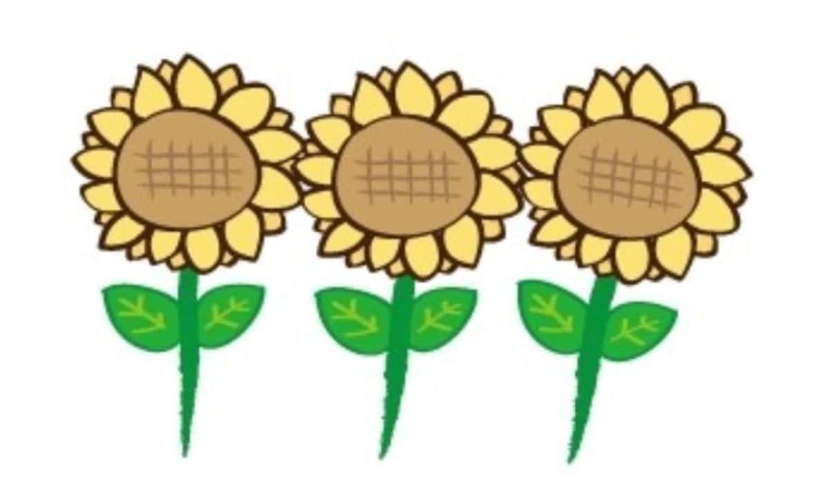 夏　イラスト　かわいい　フリー　無料　ひまわり　向日葵