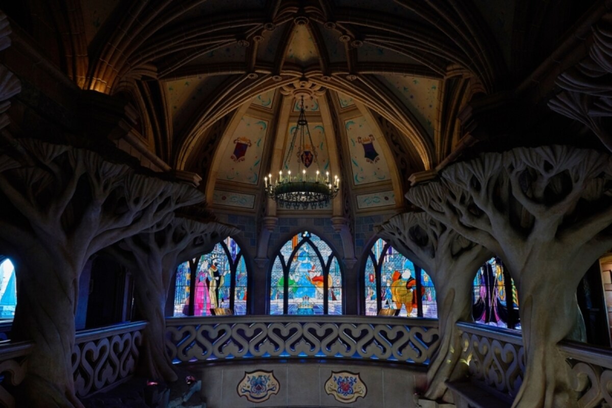 DLP